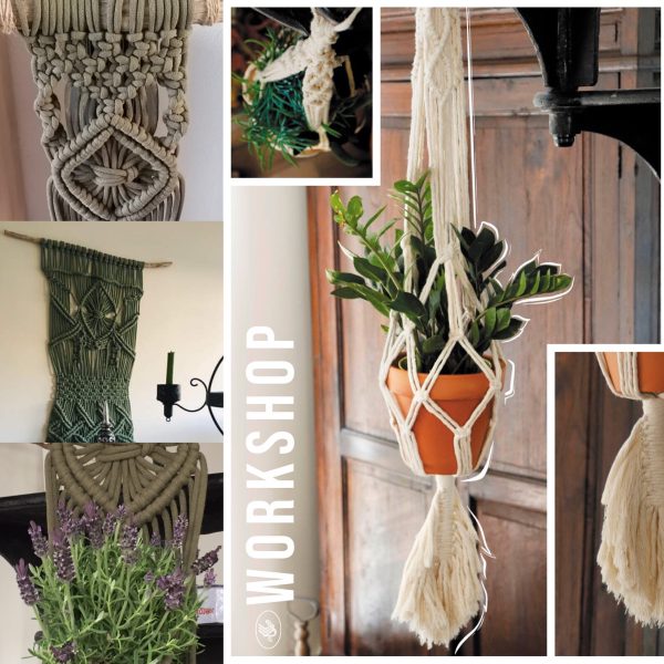 Plantenhanger - Rope - Workshops coloursoflife.nl